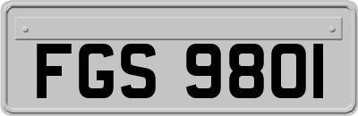 FGS9801