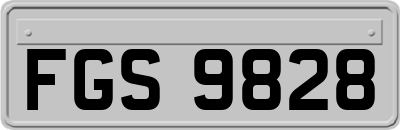 FGS9828