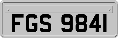 FGS9841