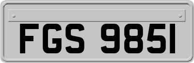 FGS9851