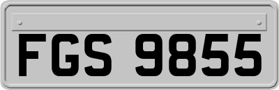 FGS9855