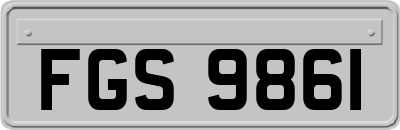 FGS9861
