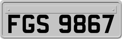 FGS9867