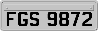 FGS9872