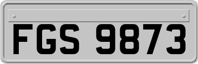 FGS9873