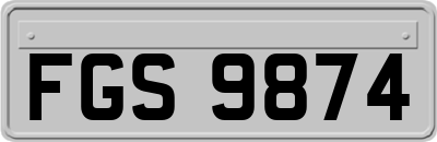 FGS9874