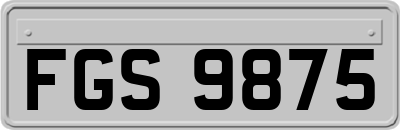 FGS9875