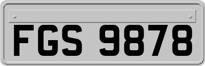 FGS9878