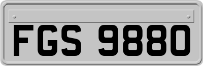 FGS9880