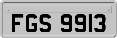 FGS9913