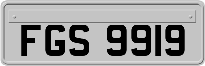 FGS9919