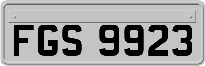 FGS9923