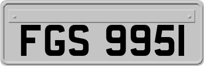 FGS9951