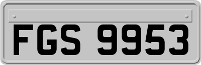 FGS9953