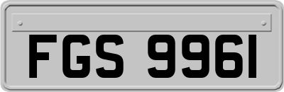 FGS9961