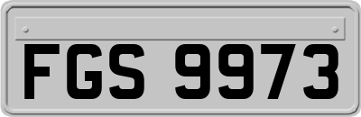 FGS9973