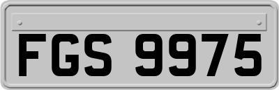 FGS9975