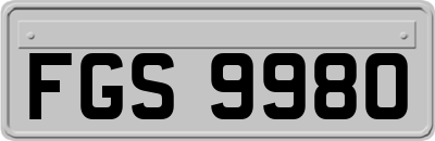 FGS9980