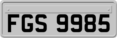 FGS9985