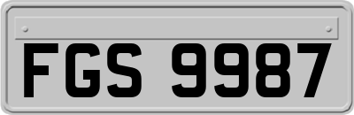 FGS9987