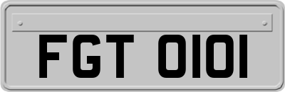 FGT0101