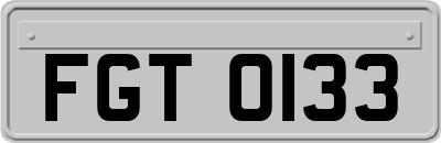 FGT0133