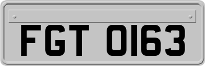FGT0163