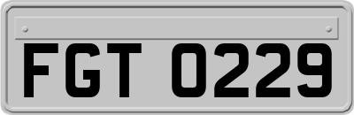 FGT0229