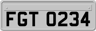 FGT0234