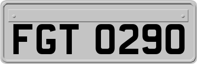 FGT0290