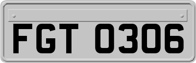 FGT0306