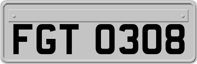 FGT0308