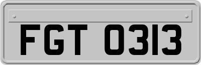 FGT0313