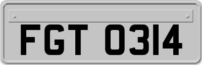 FGT0314