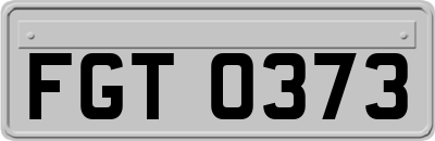 FGT0373