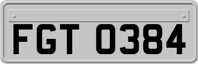 FGT0384