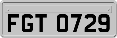 FGT0729