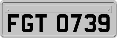 FGT0739