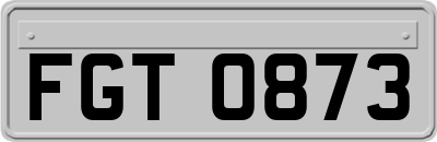 FGT0873