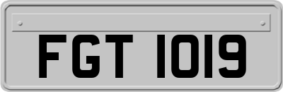 FGT1019