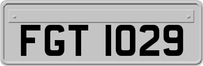FGT1029