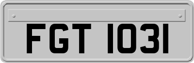 FGT1031