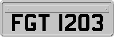 FGT1203