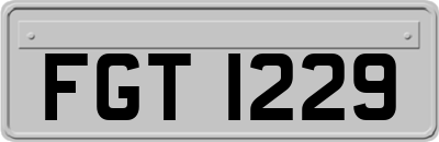 FGT1229