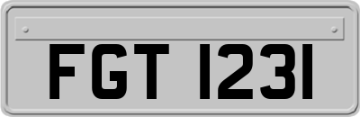 FGT1231