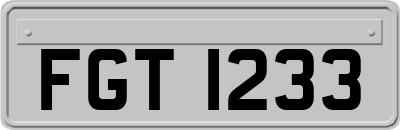 FGT1233