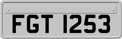 FGT1253