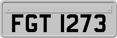 FGT1273