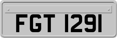 FGT1291