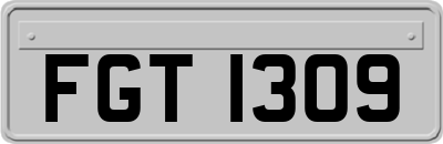 FGT1309
